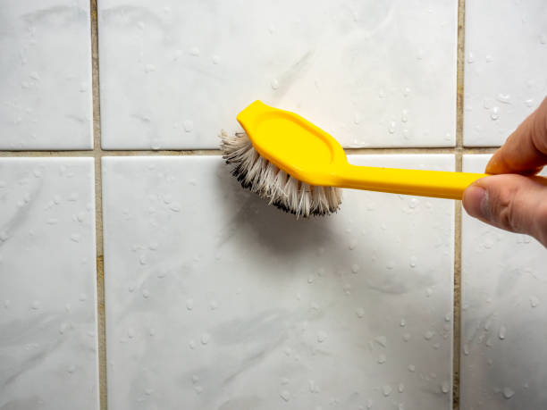 Best DIY Mold Remediation Support Services in Hockinson, WA